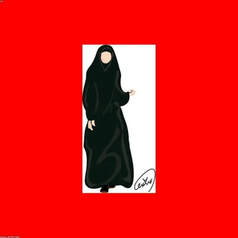 صورة 2