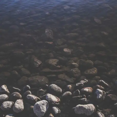 صورة 2