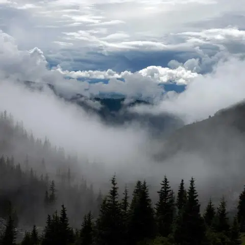 صورة 2